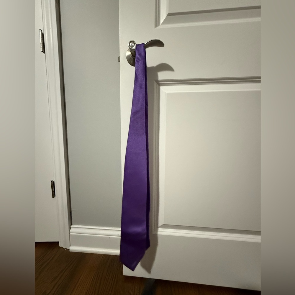 Petro Zillia Vibrant Purple Tie